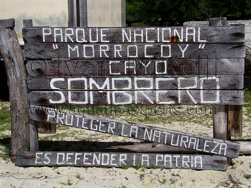 cayo sombrero parque nacional morrocoy